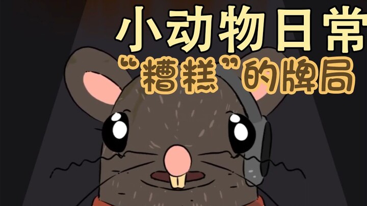 "Bad" card game🐀🦨-[Little Animal Daily | Natural Habitat Shorts] Chinese and English bilingual