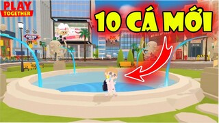 Vị Trí Xuất Hiện 10 Loại Cá Mới Sau Cập Nhật Game 31/03/2022 | Play Together