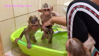 Mom Very Difficult When Both Lovely Baby Lion & Sono Out Of Control During Take The Bath