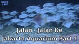 Jalan - Jalan ke Jakarta Aquarium Part 1