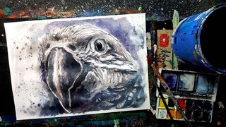 CARA MELUKIS BURUNG MENGGUNAKAN CAT AIR WATER COLOUR