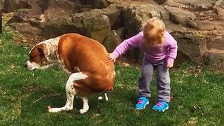 เด็กและทารกเล่นกับสัตว์เลี้ยง