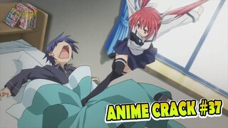 Dasar Adik Perempuan Engga Ada Akhlak [Anime Crack ] 37