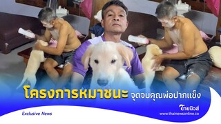 จุดจบคนไม่ให้เลี้ยงหมา แต่ภาพที่เห็นนั้น ไม่ต้องสืบว่าใครจะได้มรดก|Thainews ไทยนิวส์|Exclusive-23-SS