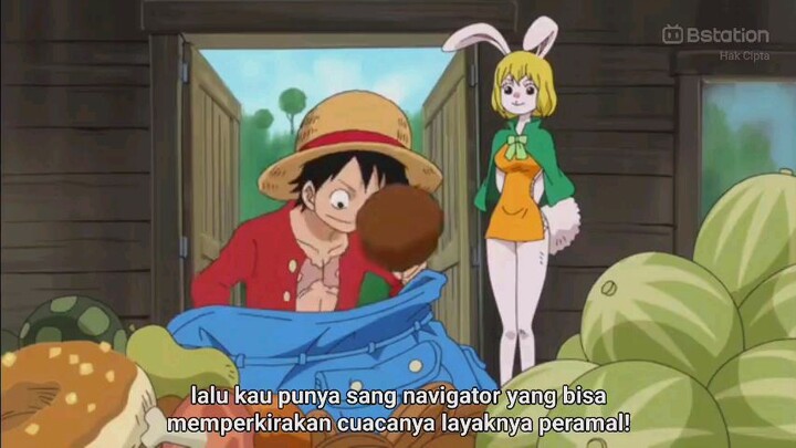 DICUEKIN sama Luffy wkwkkwkwwk