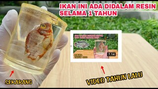 SATU TAHUN: IKAN DIDALAM RESIN