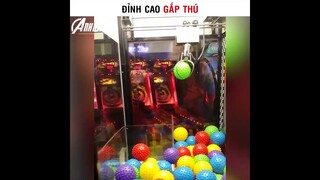 đỉnh cao của gắp thú meme cre:anh da vàng