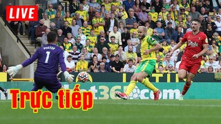 🔴 Trực tiếp Watford vs Norwich | Vòng 23 Premier League