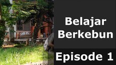 Belajar Berkebun Episode 1