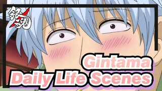 [Gintama/HITMAN REBORN!] I Love Daily Life Scenes so Much