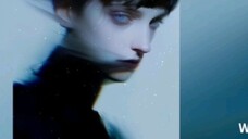 Fateful Space Inspiration|"ฉันถูกกำหนดให้อยู่ในความมืดหรือเปล่า?"|"In The Dark"|รายการเพลงประจำวัน