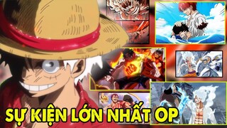 Tộc D Bí Ẩn, Tộc Thần Và Top 8 Chủng Tộc Hiếm Nhất One Piece