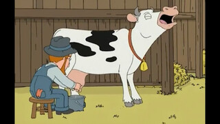 Family Guy - The eye-catching cow, this cow is definitely not serious, count the outrageous moments 