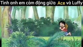 Tình cảm cảm động của Ace và Luffy