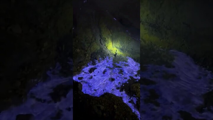 Beyond Lava: Witness Indonesia's Eerie Blue Flames of Kawah Ijen