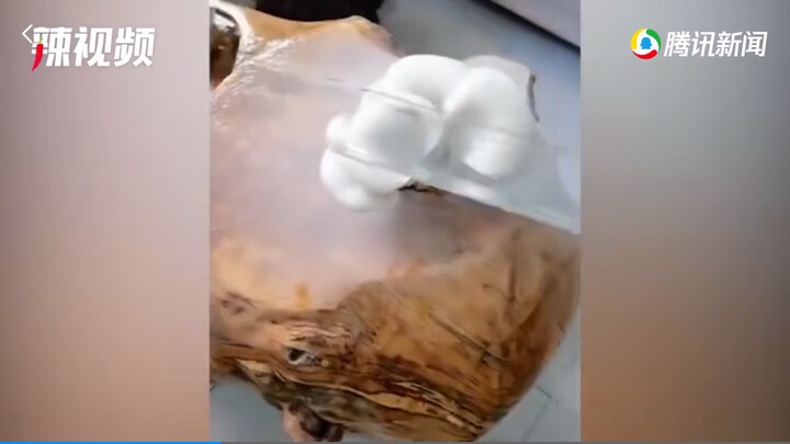 男子七天没去办公室 回去一看木制茶台竟然长了蘑菇