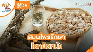 สมุนไพรรักษาโรคผิวหนัง | รู้สู้โรค