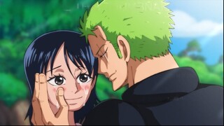 Fakta Tentang Teman masa kecil Zoro