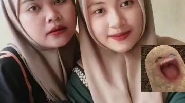 salam donghua