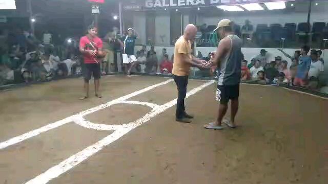 DARJ GF WPC FINAL ELIMANATION