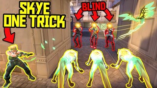 This VALORANT One Trick Has MASTERED Skye...
