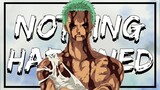One Piece Analysis - Roronoa Zoro: Swordsmanship and Stoicism (Nothing Happened)