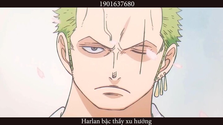Thanh tẩy - ZORO l SUICIDEBOY _ AMV #anime