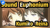 [Sound! Euphonium] Kumiko Oumae&Reina Kousaka--- Dream and You, I'll Get All_2