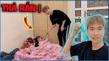 Vlog | NTN chơi troll “ Thả Rắn ” vào người Ngọc Diễm lúc đang ngủ và cái kết !