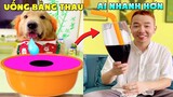 Thú Cưng Vlog | Tứ Mao Ham Ăn Đại Náo Bố #20 | Chó gâu đần thông minh vui nhộn | Smart dog funny pet