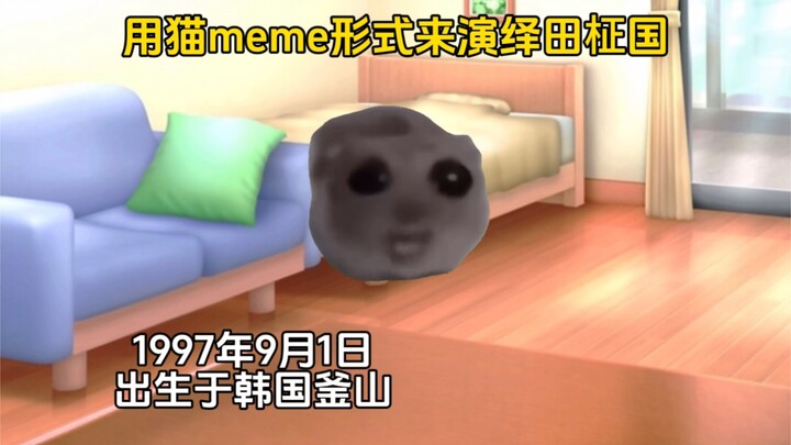 【猫meme】形式来演绎田柾国