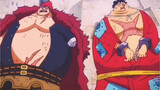 One Piece: Is this the human body structure?