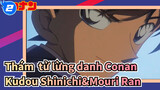 Thám tử lừng danh Conan 
Kudou Shinichi&Mouri Ran_2