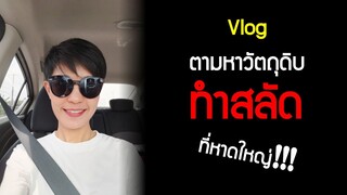 ตามหาวัตถุดิบทำสลัด ที่หาดใหญ่ Vlog1