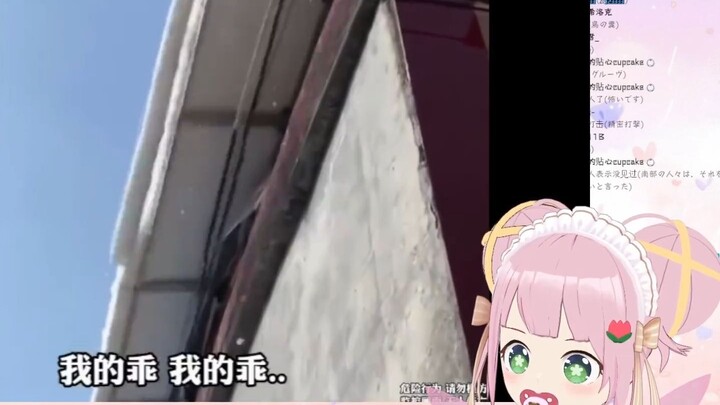 日本妖精看《那些被雪砸中的倒霉人类》