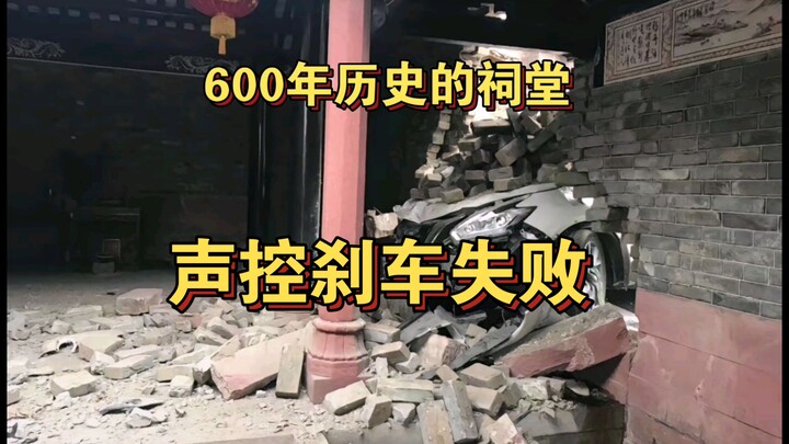 女司机声控刹车事件的后续追踪