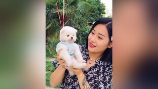 Hết hồn Moon ơi 😭 pet cutedog cho thucung xuhuong diduongquyen tilevang