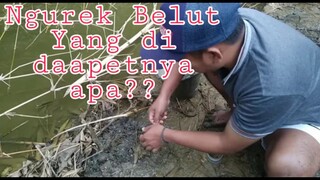 NGUREK BELUT YANG DI DAPATNYA APA!?