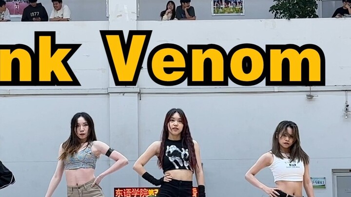 【Pink Venom cover dance】Super coordinated cover dance, are you sure you don’t want to watch it|Fulfi
