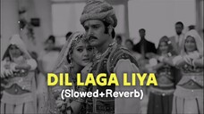 Dil Laga Liya Slowed + Reverb