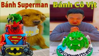 Thú Cưng TV | Đa Đa Thánh Chế #24 | Chó Golden Gâu Đần thông minh vui nhộn | Pets cute smart dog