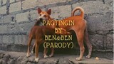 "Paglasing" (Parody) by Aysden