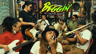 Beggin' - The Four Seasons | Kuerdas Reggae Version