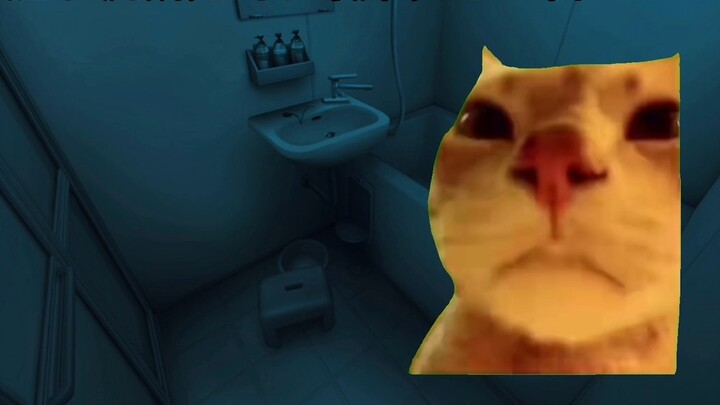 [Cat meme] The kindergarten fished out a person in the toilet... (Be careful when eating)