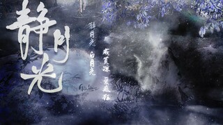 【古装女子群像】静月光 白月光 ，成荒凉 爱疯狂【刘亦菲/唐嫣/刘诗诗/杨幂/苏青/董慧/赵丽颖/周雨彤/迪丽热巴/何蓝逗/彭小苒/蒋依依】