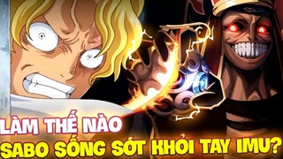 LÀM THẾ NÀO MÀ SABO CÓ THỂ THOÁT ĐƯỢC IMU SAMA?! | SỨC MẠNH CỦA IMU ĐÃ KHIẾN SABO MÉM CHẾT?!