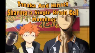 Haikyuu Characters Time Skip Future Jobs Bilibili