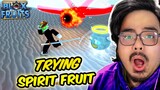 Blox Fruits #13 - Testing SPIRIT fruit! | Roblox (Filipino)