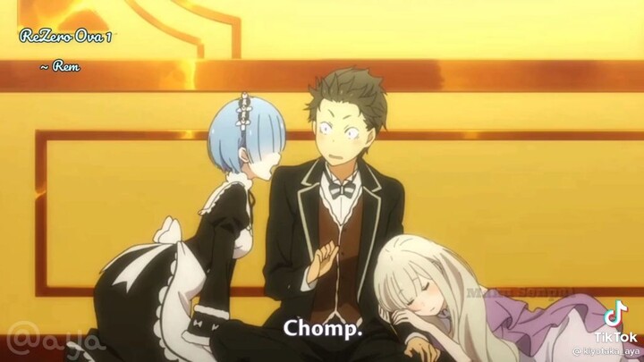 remm -w-
