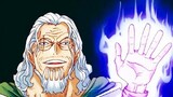 One Piece - Rayleigh Shocking Death Revealed